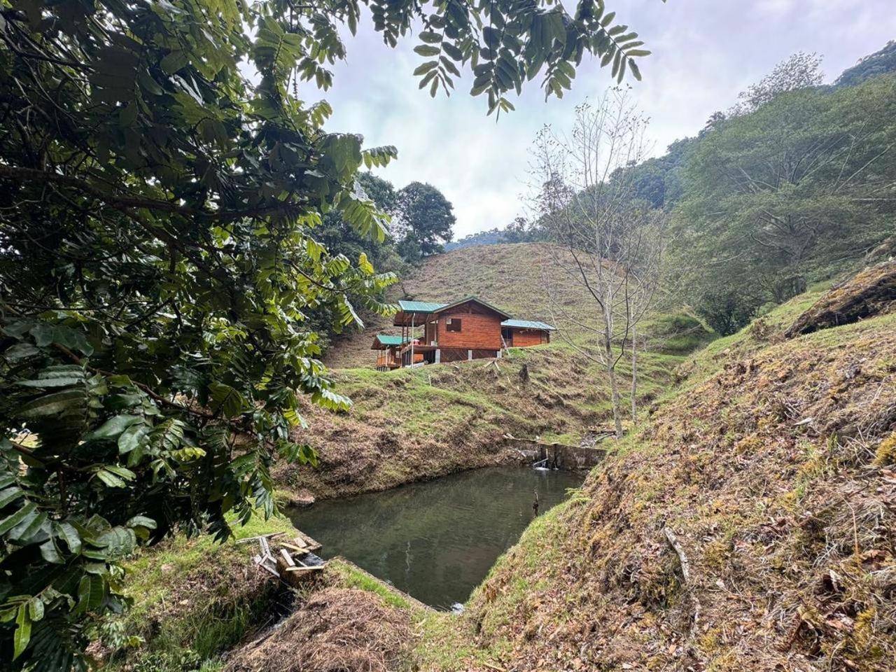 Entre Arboles Lodge San Gerardo de Dota Exteriér fotografie