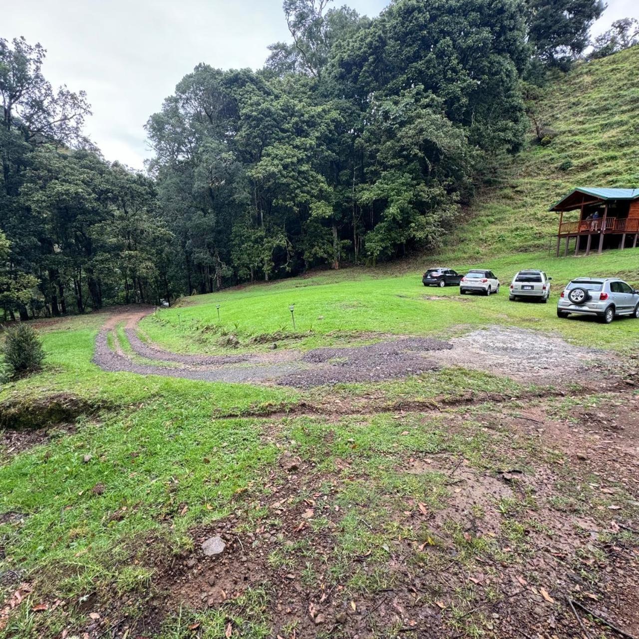 Entre Arboles Lodge San Gerardo de Dota Exteriér fotografie
