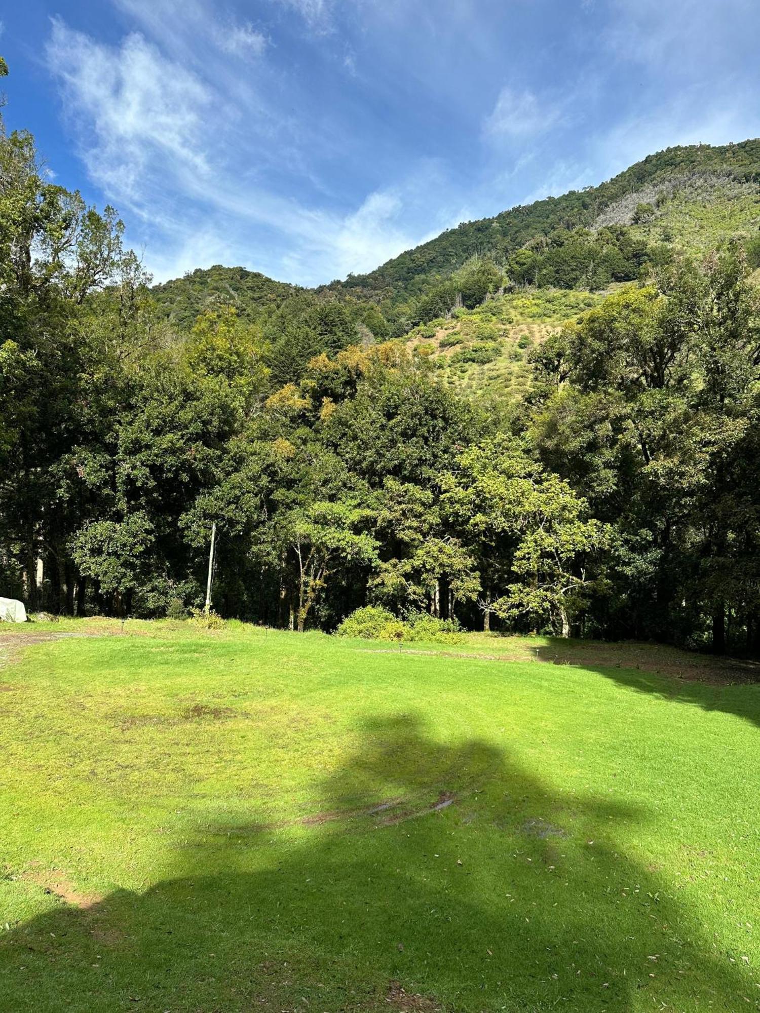 Entre Arboles Lodge San Gerardo de Dota Exteriér fotografie