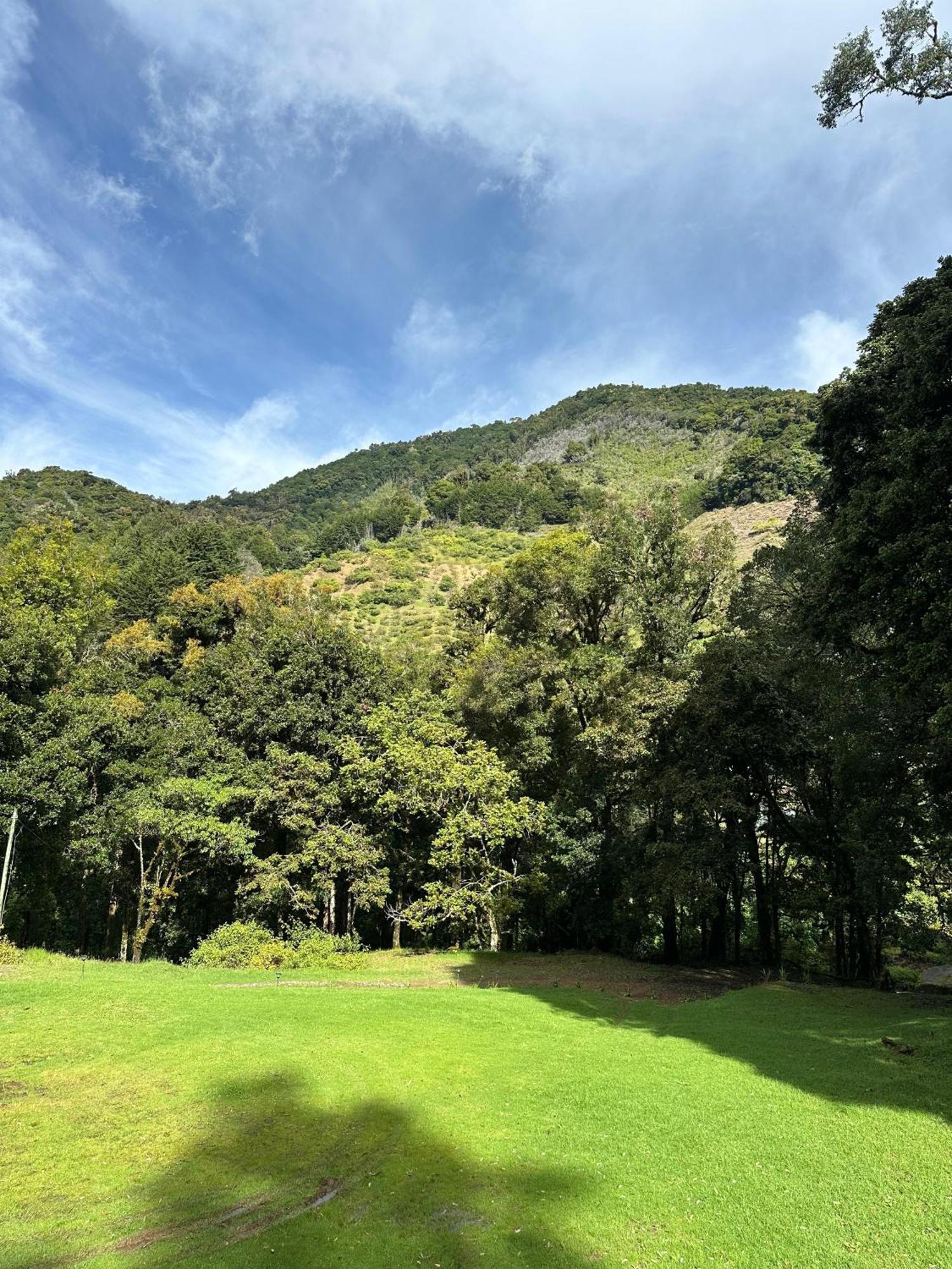 Entre Arboles Lodge San Gerardo de Dota Exteriér fotografie