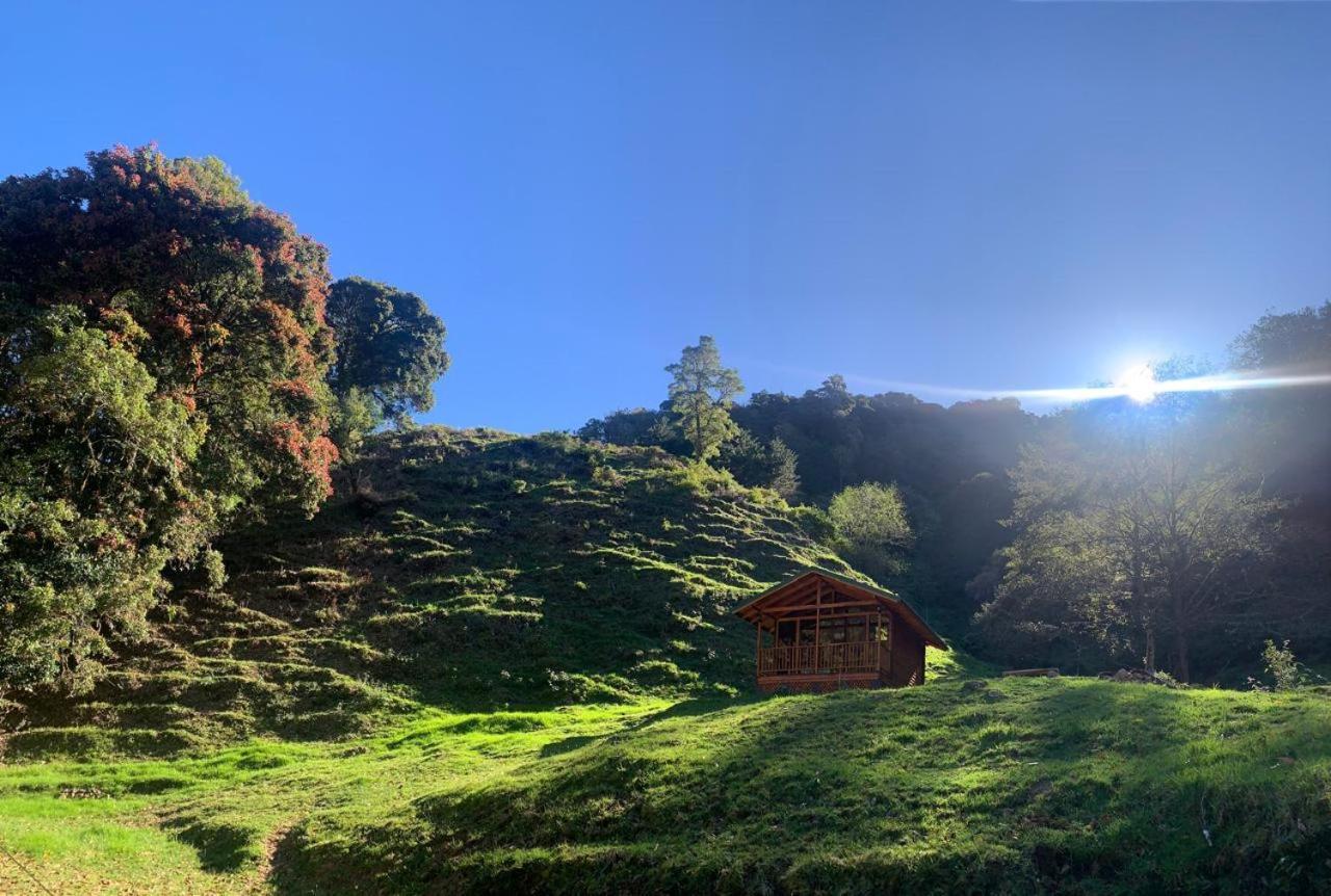 Entre Arboles Lodge San Gerardo de Dota Exteriér fotografie