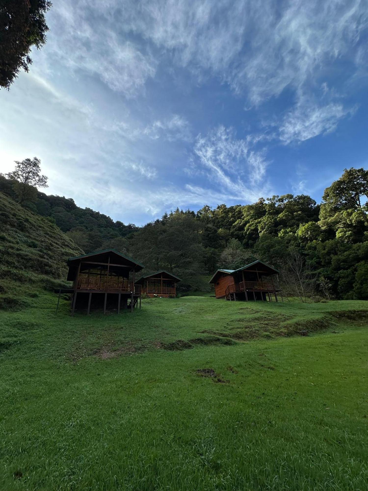 Entre Arboles Lodge San Gerardo de Dota Exteriér fotografie