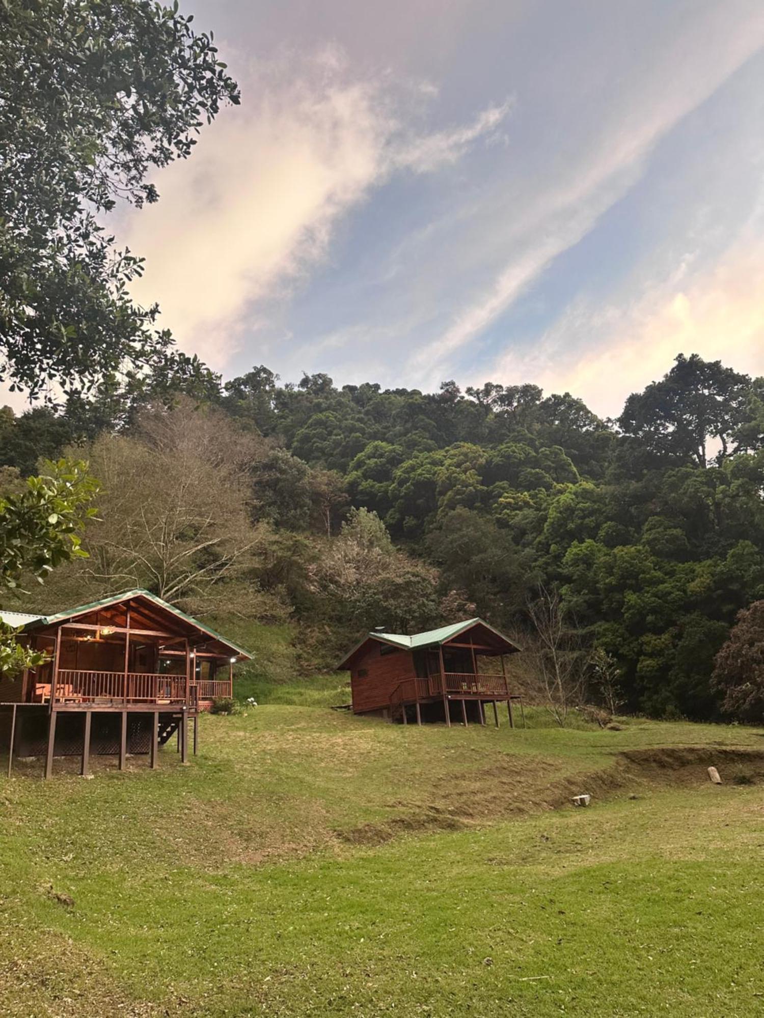 Entre Arboles Lodge San Gerardo de Dota Exteriér fotografie