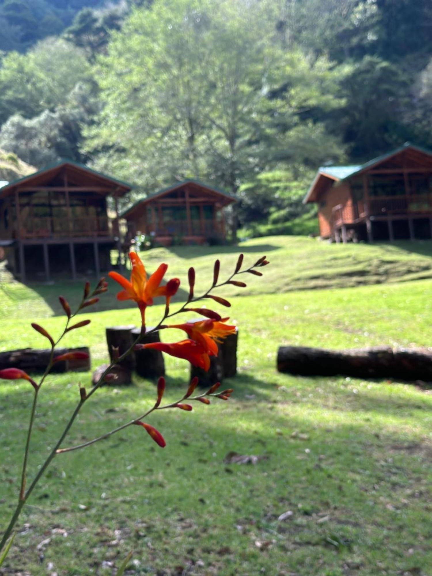Entre Arboles Lodge San Gerardo de Dota Exteriér fotografie