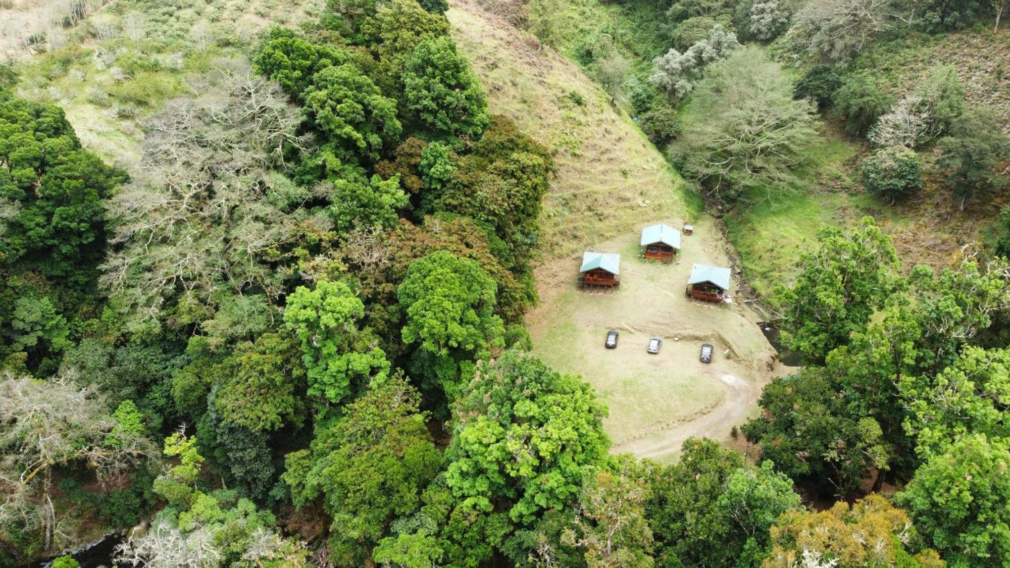 Entre Arboles Lodge San Gerardo de Dota Exteriér fotografie