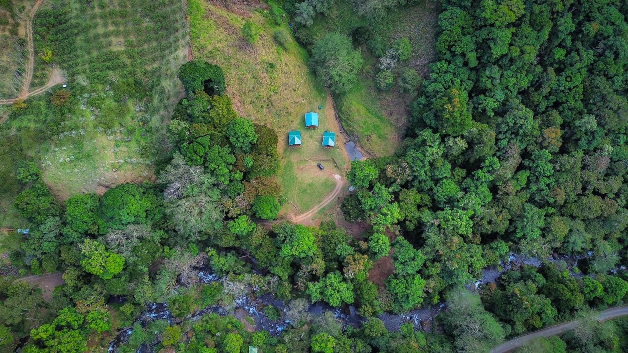 Entre Arboles Lodge San Gerardo de Dota Exteriér fotografie