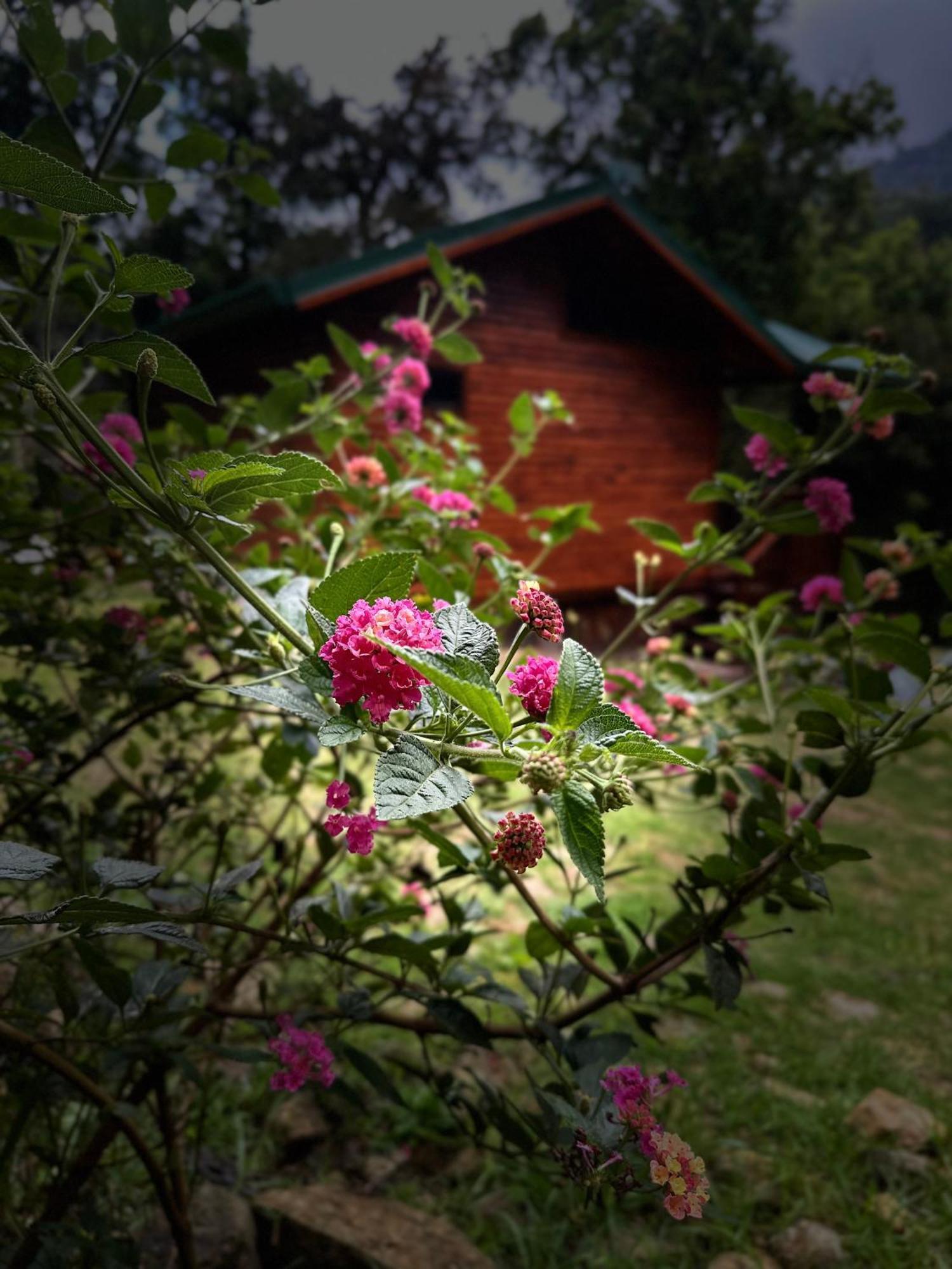 Entre Arboles Lodge San Gerardo de Dota Exteriér fotografie