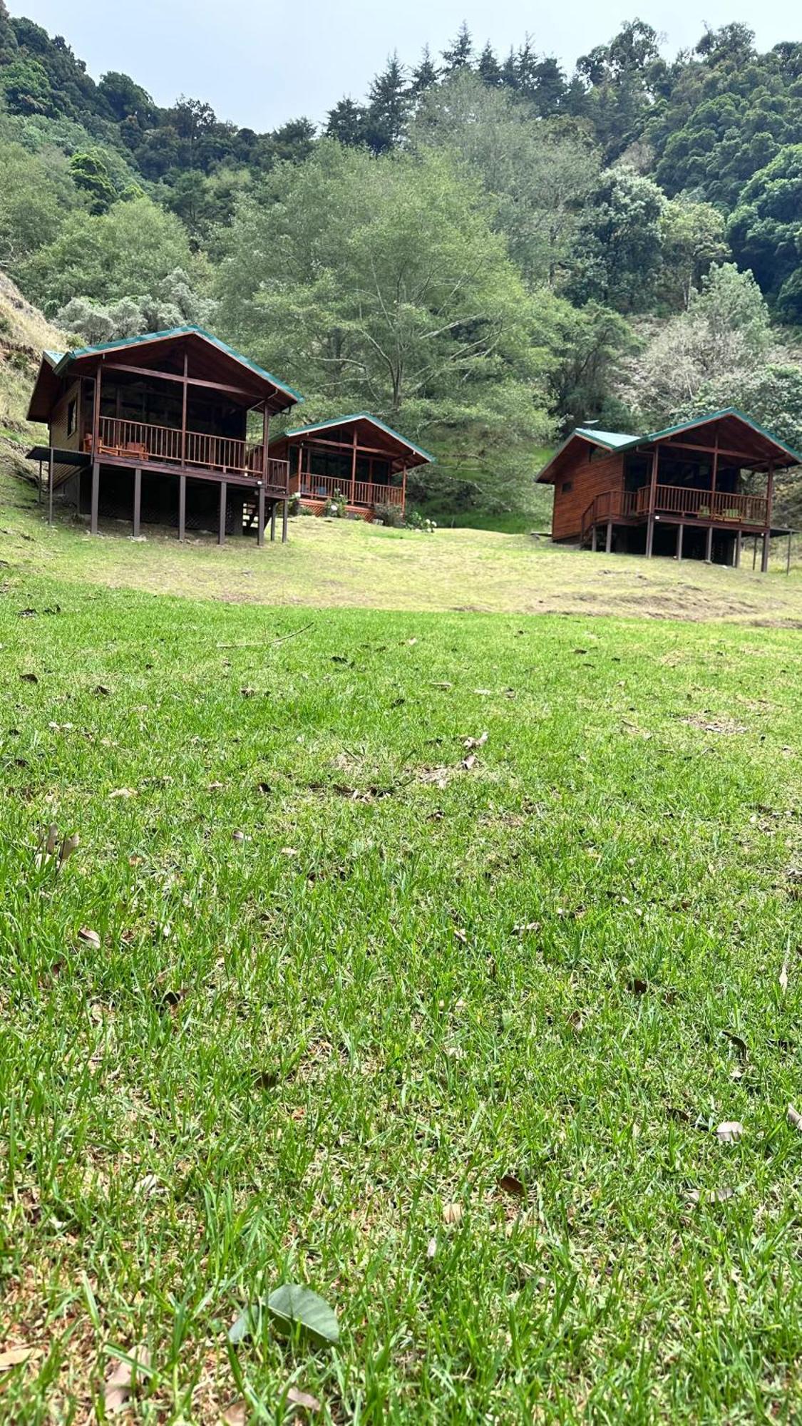 Entre Arboles Lodge San Gerardo de Dota Exteriér fotografie