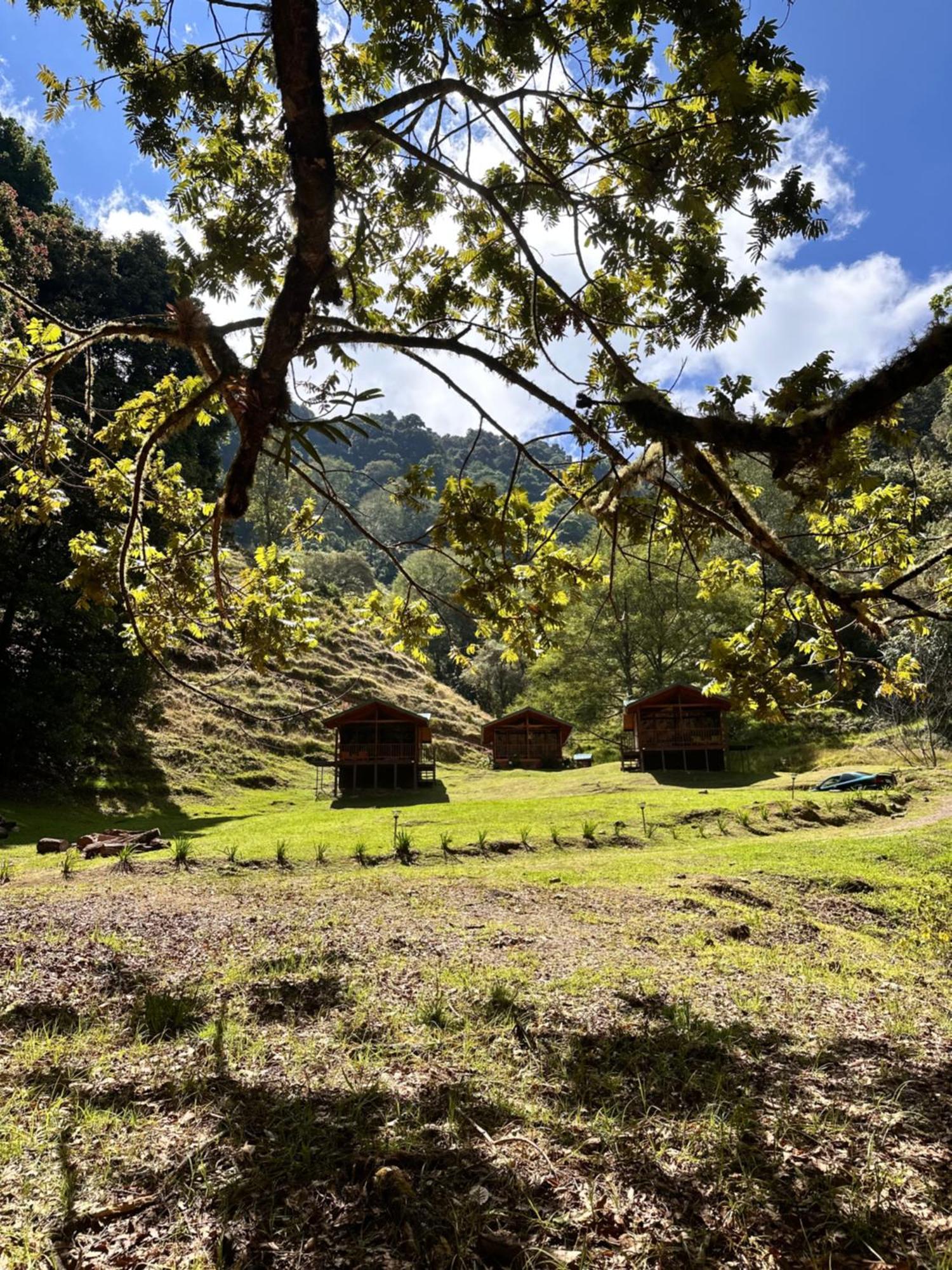 Entre Arboles Lodge San Gerardo de Dota Exteriér fotografie