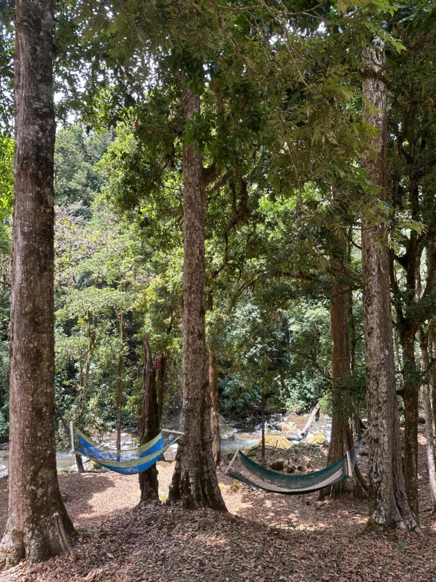 Entre Arboles Lodge San Gerardo de Dota Exteriér fotografie