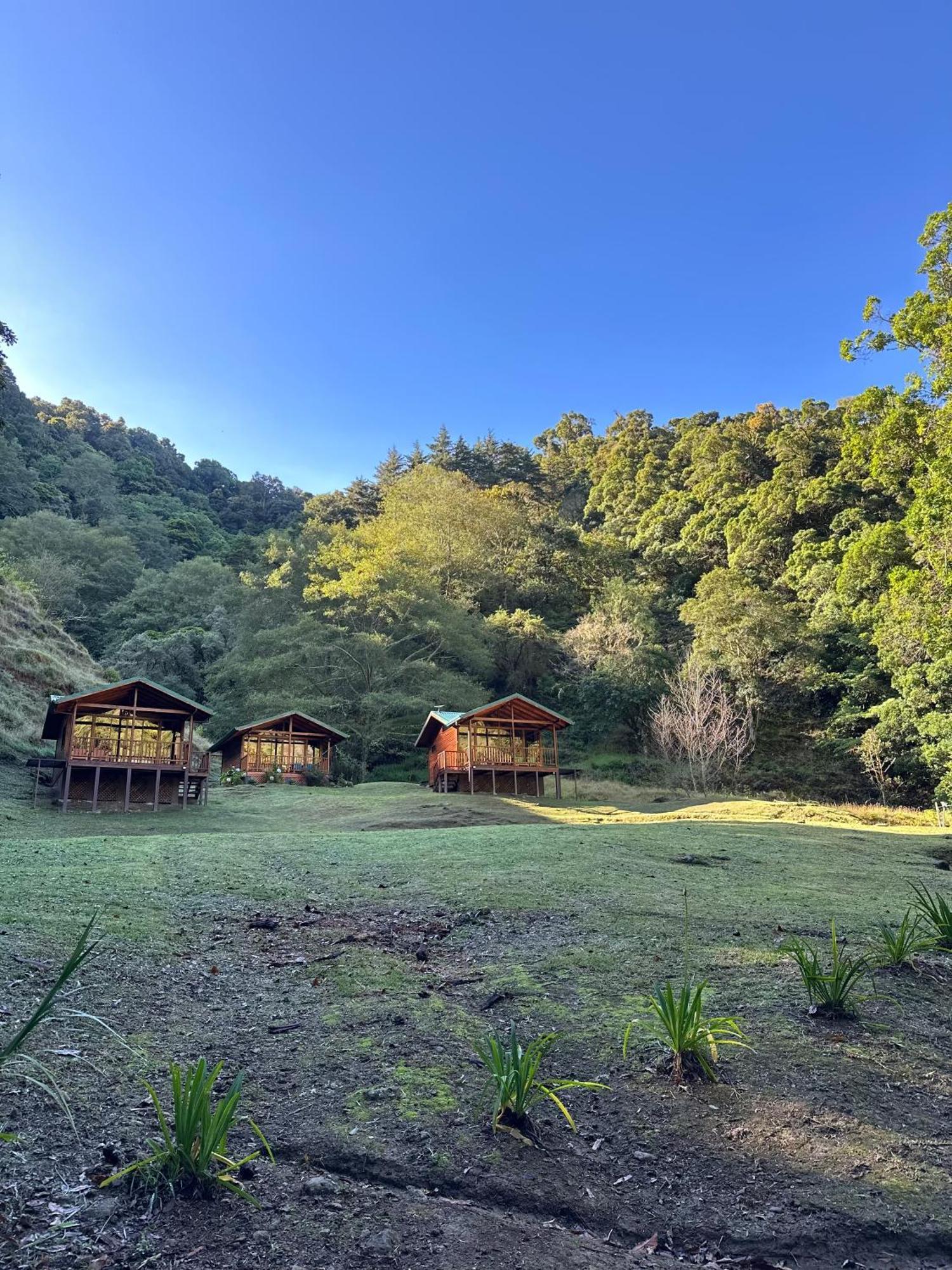 Entre Arboles Lodge San Gerardo de Dota Exteriér fotografie