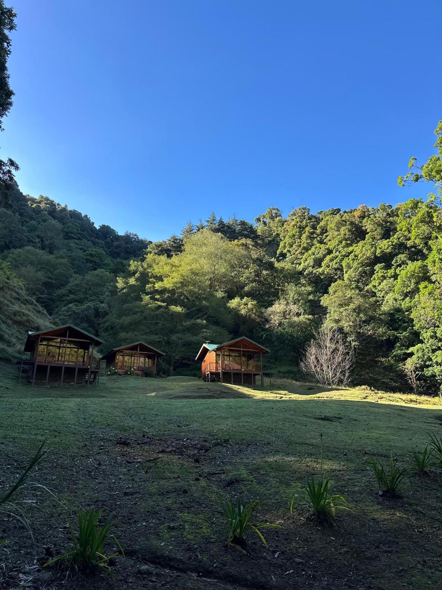Entre Arboles Lodge San Gerardo de Dota Exteriér fotografie